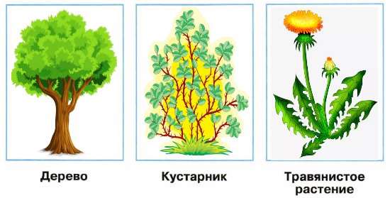 Фото Рассказ Красота Неба 2 Класс